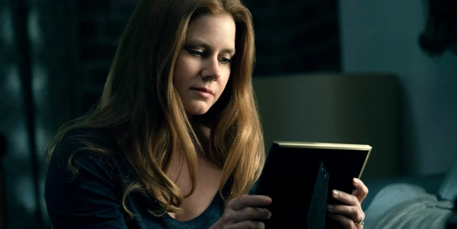 Amy Adams Reveals If She Will Return As Lois Lane In The DC Universe